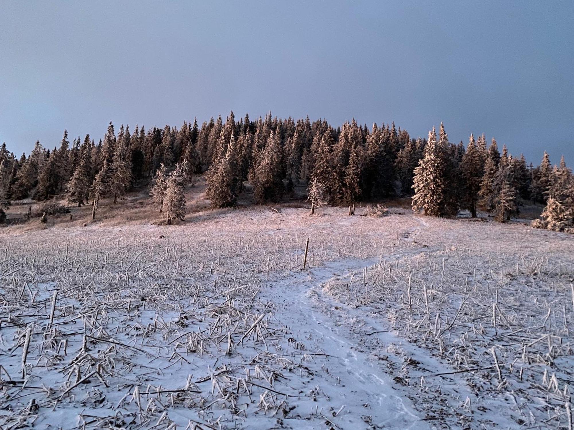 Drevenica Polomka, 20 Min To 5 Ski Resorts Брезно Экстерьер фото